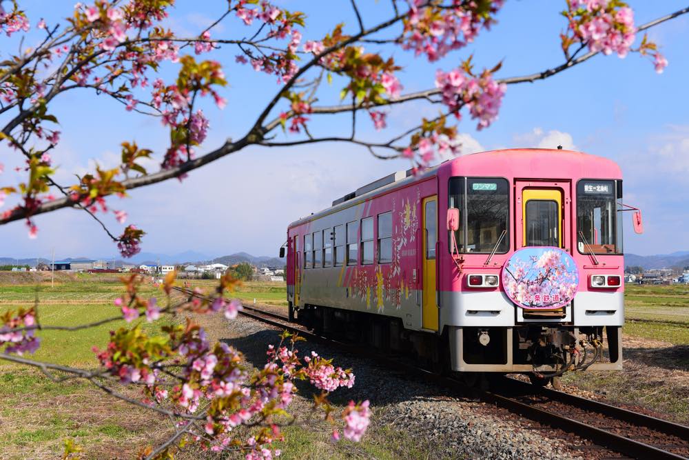 【保存版】播磨デートならここ！兵庫県民おすすめの15スポット【注目スポット・温泉・史跡・寺社仏閣など】