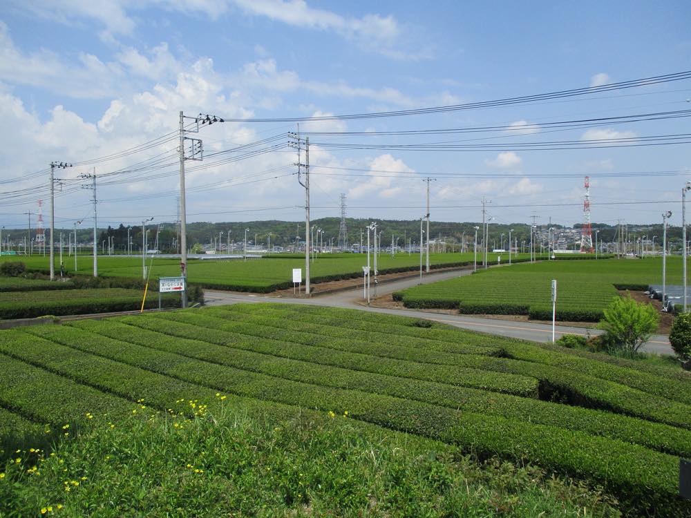 【保存版】入間デートならここ！埼玉県在住筆者おすすめの15スポット【歴史巡り・アウトドア・人気のアウトレット・絶品グルメなど】