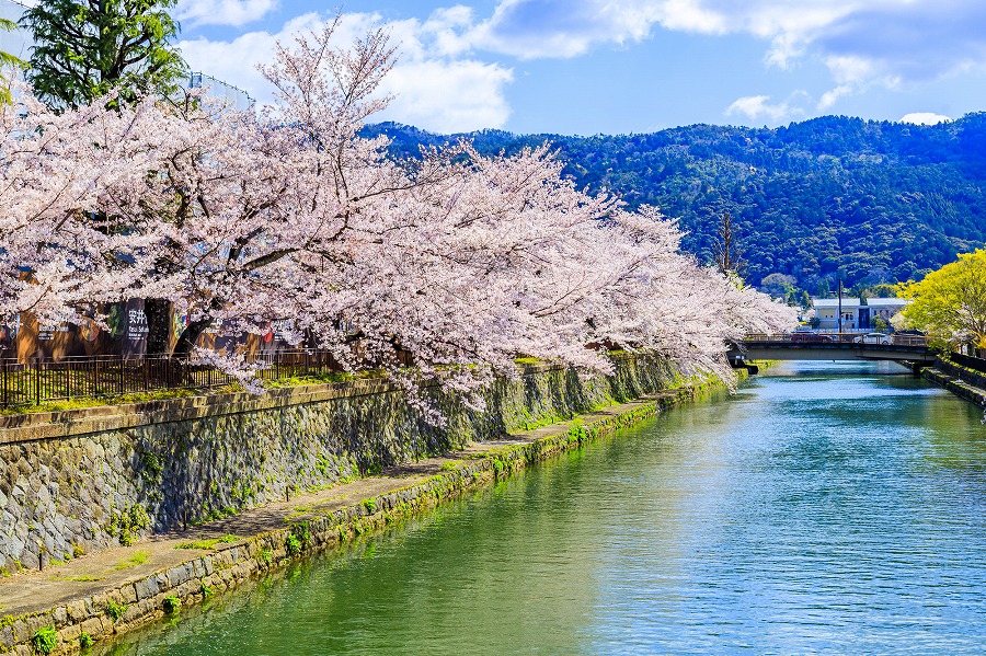 見どころ 南 禅 寺