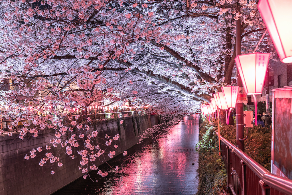 東京のおでかけスポット30選！リフレッシュ・絶景・博物館など旅行好きな筆者が紹介！