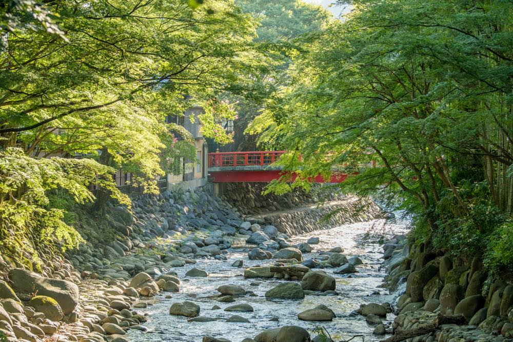 【保存版】修善寺温泉旅館おすすめ15選【伊豆の温泉が大好きなライターが徹底紹介】ロケーション◎・源泉かけ流し・リーズナブルなお宿など