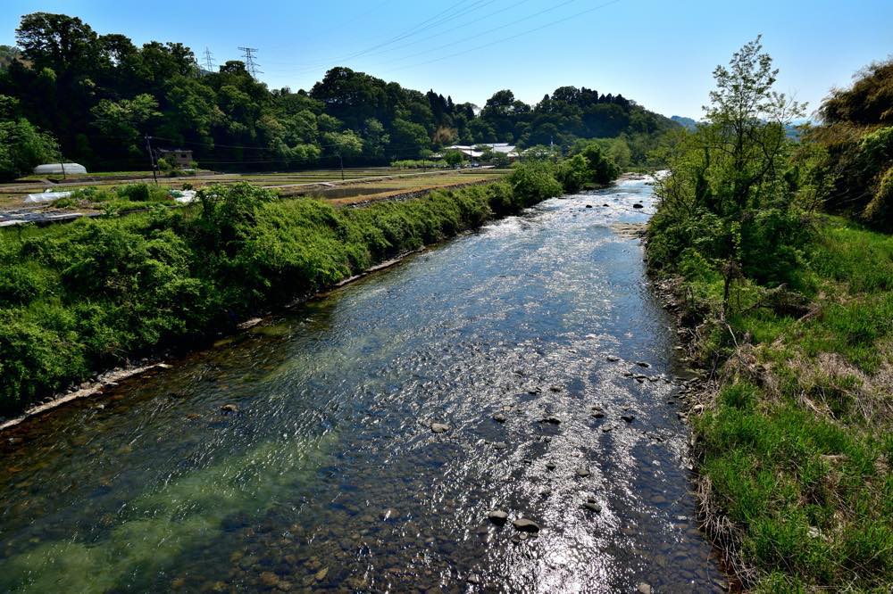 【保存版】金沢犀川温泉旅館おすすめ15選【金沢犀川温泉に魅了されたライターが徹底紹介】貸切風呂・食事自慢のお宿など・記念日にも◎