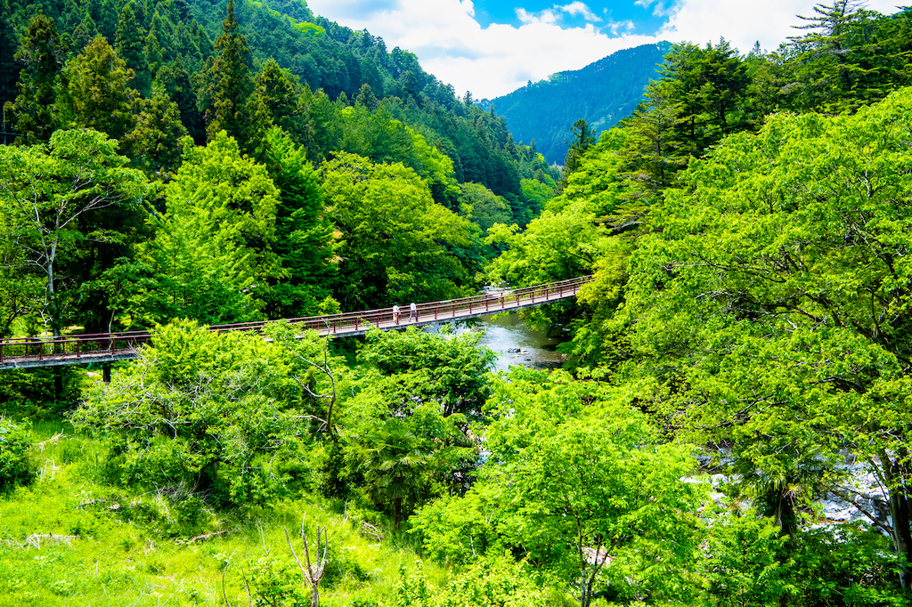 東京の自然スポット30選！リフレッシュ・絶景・ハイキングなど旅行好きな筆者が紹介