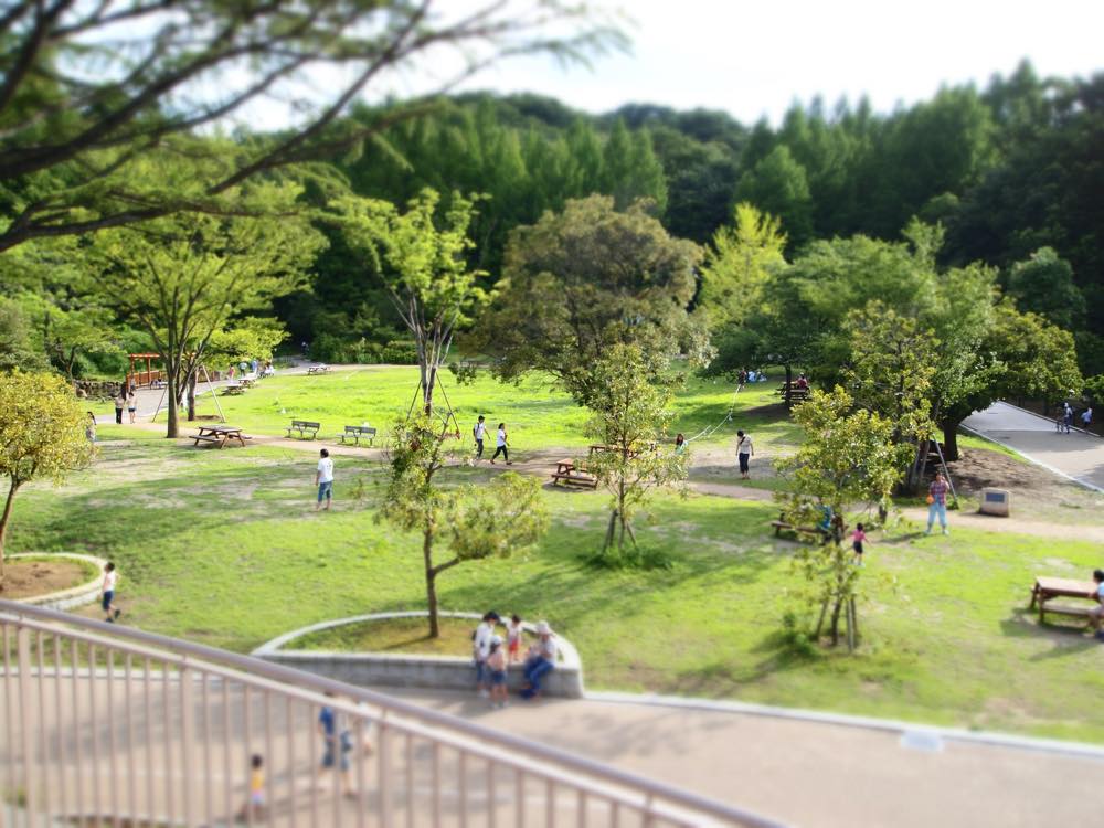 川崎の自然スポット15選！公園・緑地・梅や桜の花々を眺められる場所など神奈川在住のおでかけ好きな筆者が紹介