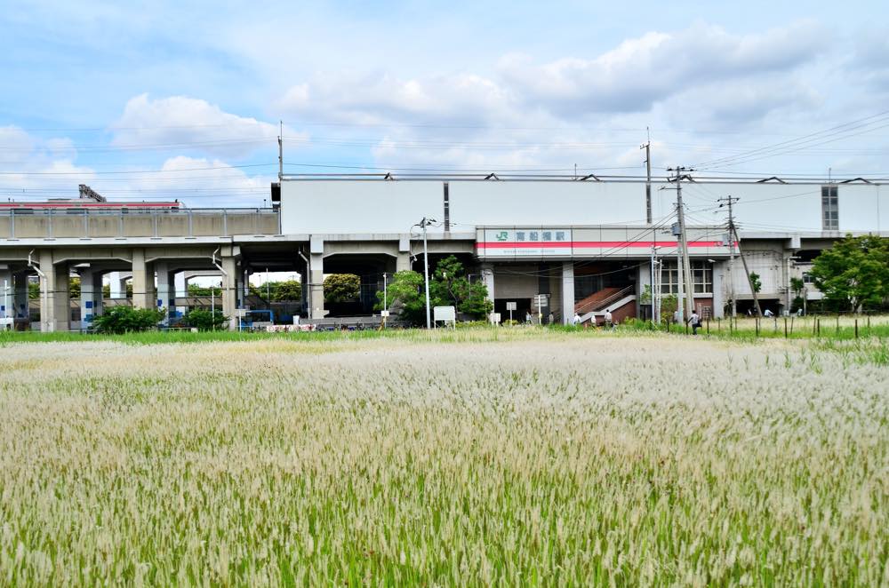 【保存版】南船橋デートならここ！千葉県在住筆者おすすめの15スポット【ショッピング・人気グルメ・公園・穴場スポットも】