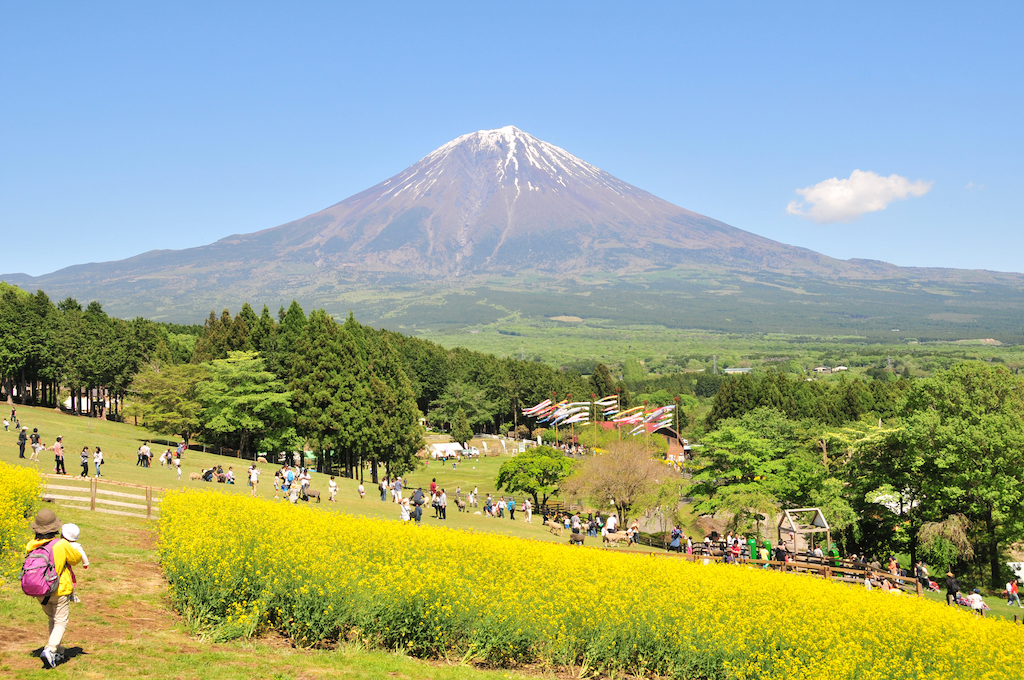 静岡のピクニックスポット15選！公園・デート・子連れ向きなどお出かけ好きな筆者が紹介