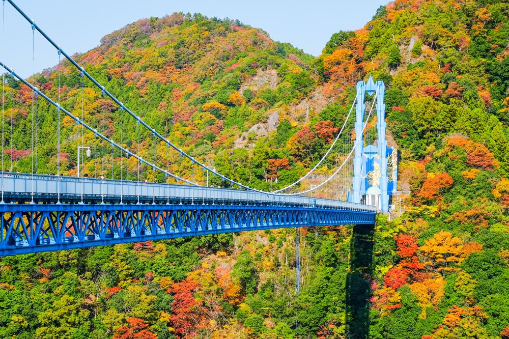 21年版 茨城の穴場デートならここ 茨城在住筆者おすすめの15スポット 絶景 Sns映え パワースポット カフェやグルメ情報など ページ 3 4 アニーお祝い体験マガジン By ギフトモール