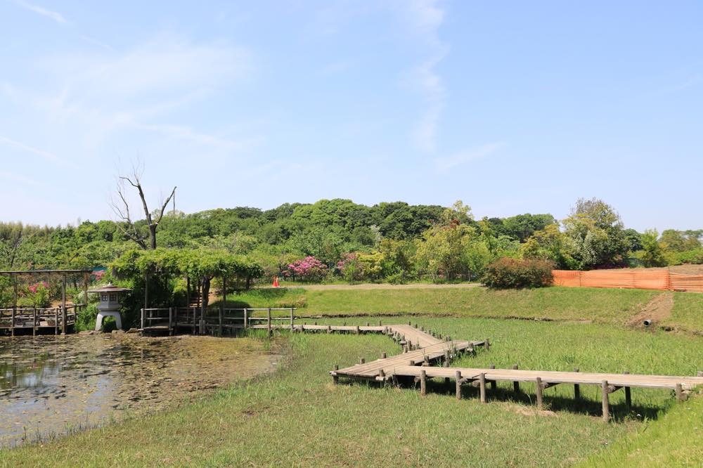 【保存版】千葉で体を動かすデートならここ！千葉県在住筆者おすすめの14スポット【スポーツ施設・アスレチック・ボルダリング・公園など】