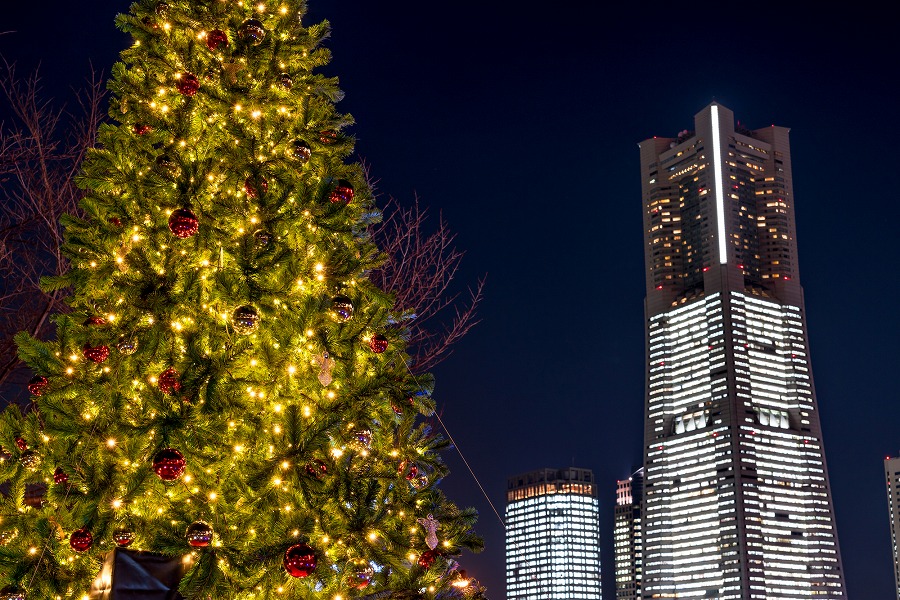 【保存版】みなとみらいのクリスマスディナーならここ！はまっ子おすすめの20店【夜景・カジュアル・ビュッフェなど】