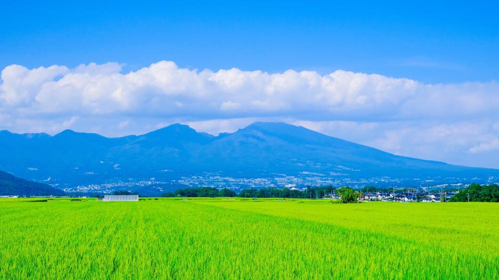 【保存版】佐久市のランチならここ！カップルのデートや記念日にもおすすめ【長野在住者が徹底ガイド】イタリアン&フレンチ・洋食・蕎麦&和食など