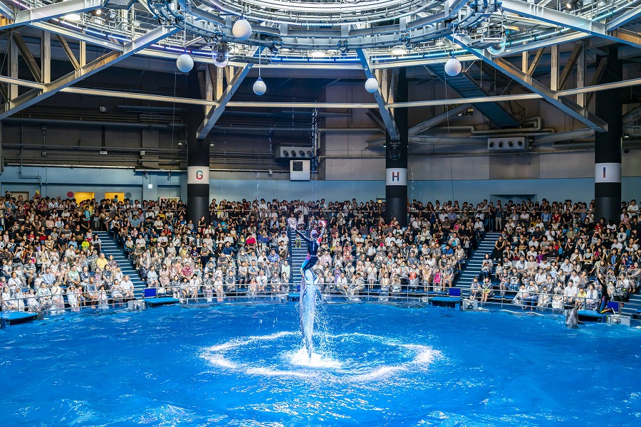 【保存版】アクアパーク品川水族館近くのランチならここ！都民おすすめの20店【品川プリンス内・港南口・駅チカのお店など】