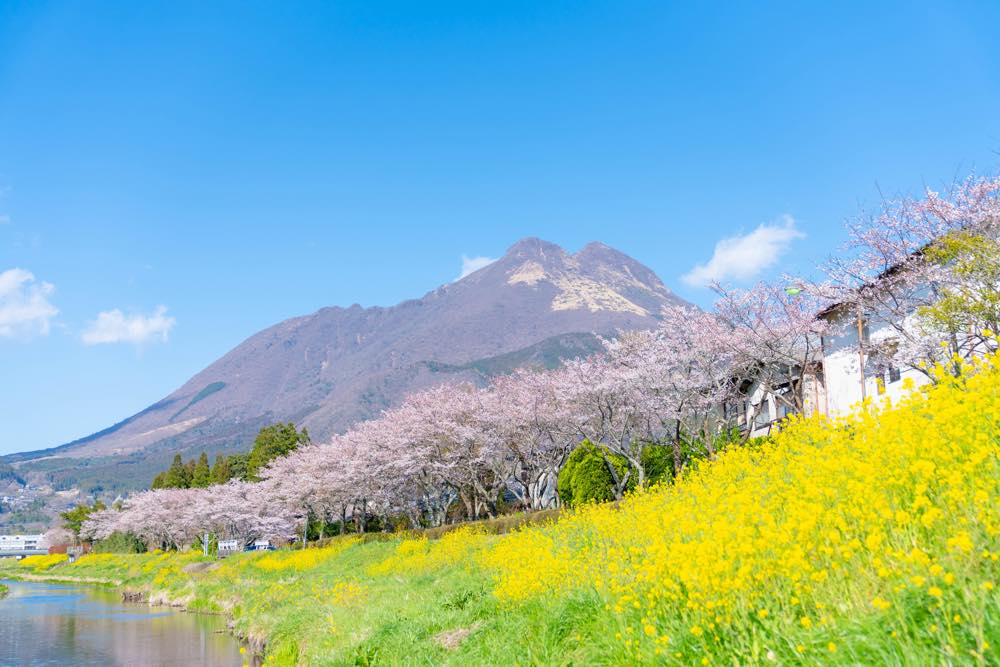 【九州・温泉】誕生日で泊まりたい旅館・ホテル15選！癒し・ロケーション◎・美食の宿など温泉好きな筆者が徹底調査！