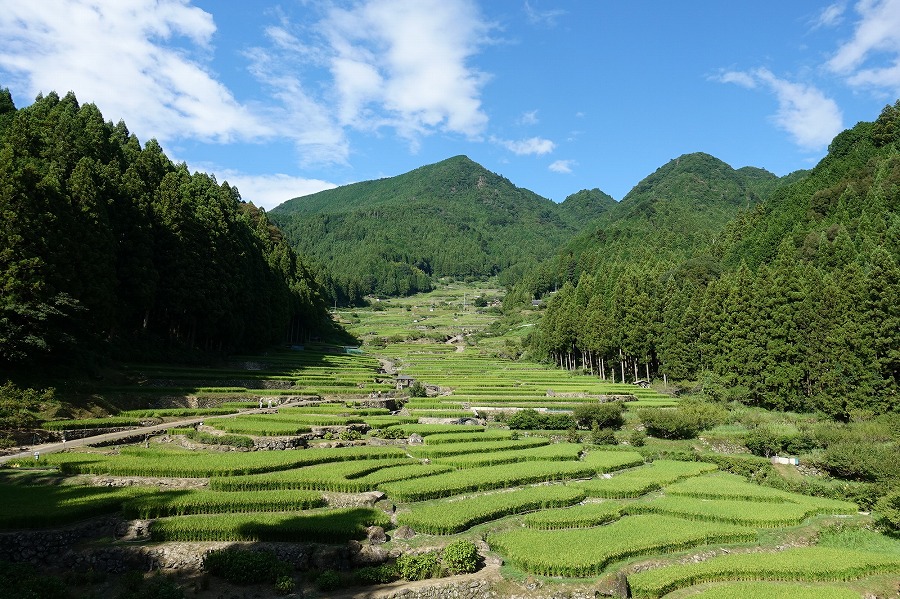 22年版 愛知県ドライブデート50選 愛知県出身者おすすめのフォトジェニック 史跡 レジャー アウトドア 自然スポット ページ 4 4 アニーお祝い体験マガジン By ギフトモール