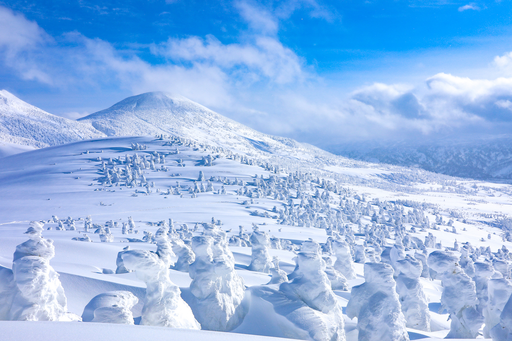 青森の自然スポット15選！山・水・植物など国内旅行が大好きな筆者が紹介