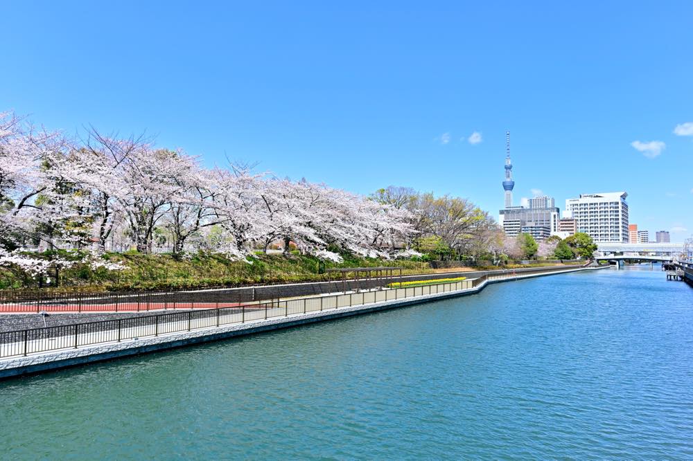 【保存版】住吉でカフェならここ！元都内在住筆者おすすめの14選【雰囲気◎・Wi-Fi完備・レストランカフェなど】