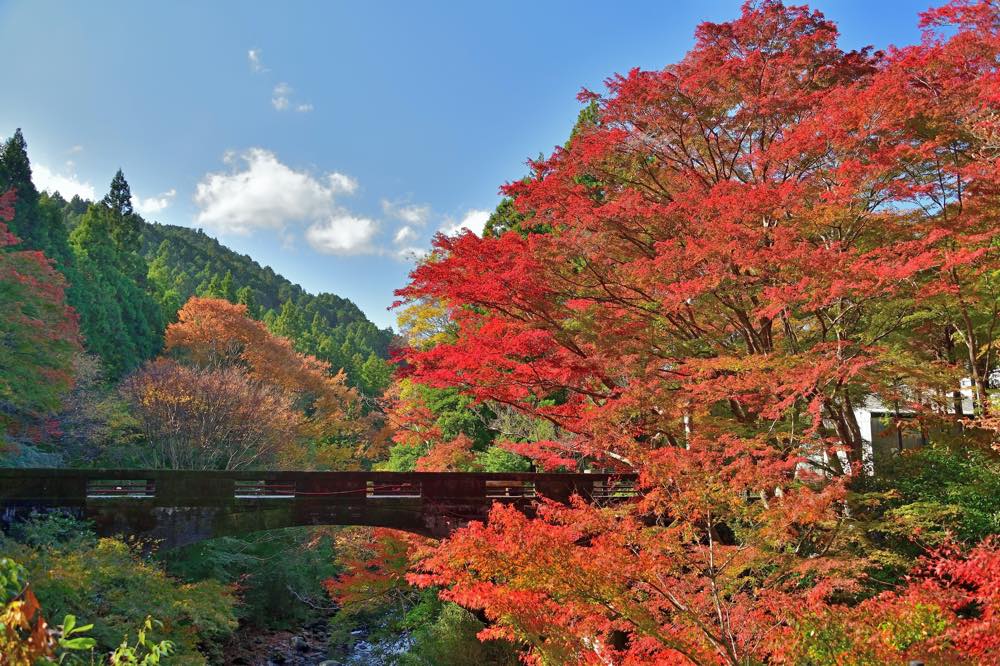 【保存版】津デートならここ!近隣在住者おすすめの15スポット【歴史・絶景・グルメ・寺社仏閣・雨の日など】