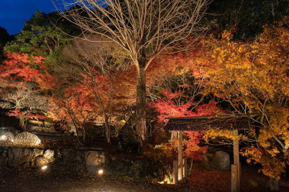 【保存版】筑豊デートならここ！九州在住の筆者おすすめの15スポット【自然・公園・SNS映え・歴史・ショッピング・グルメなど】