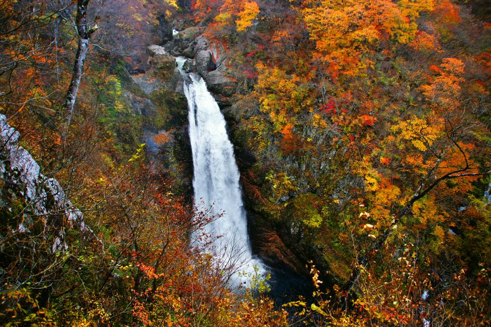 【保存版】奥州秋保温泉旅館おすすめ15選【温泉好きライターが徹底紹介】お風呂が評判・美食・近隣エリアの施設など