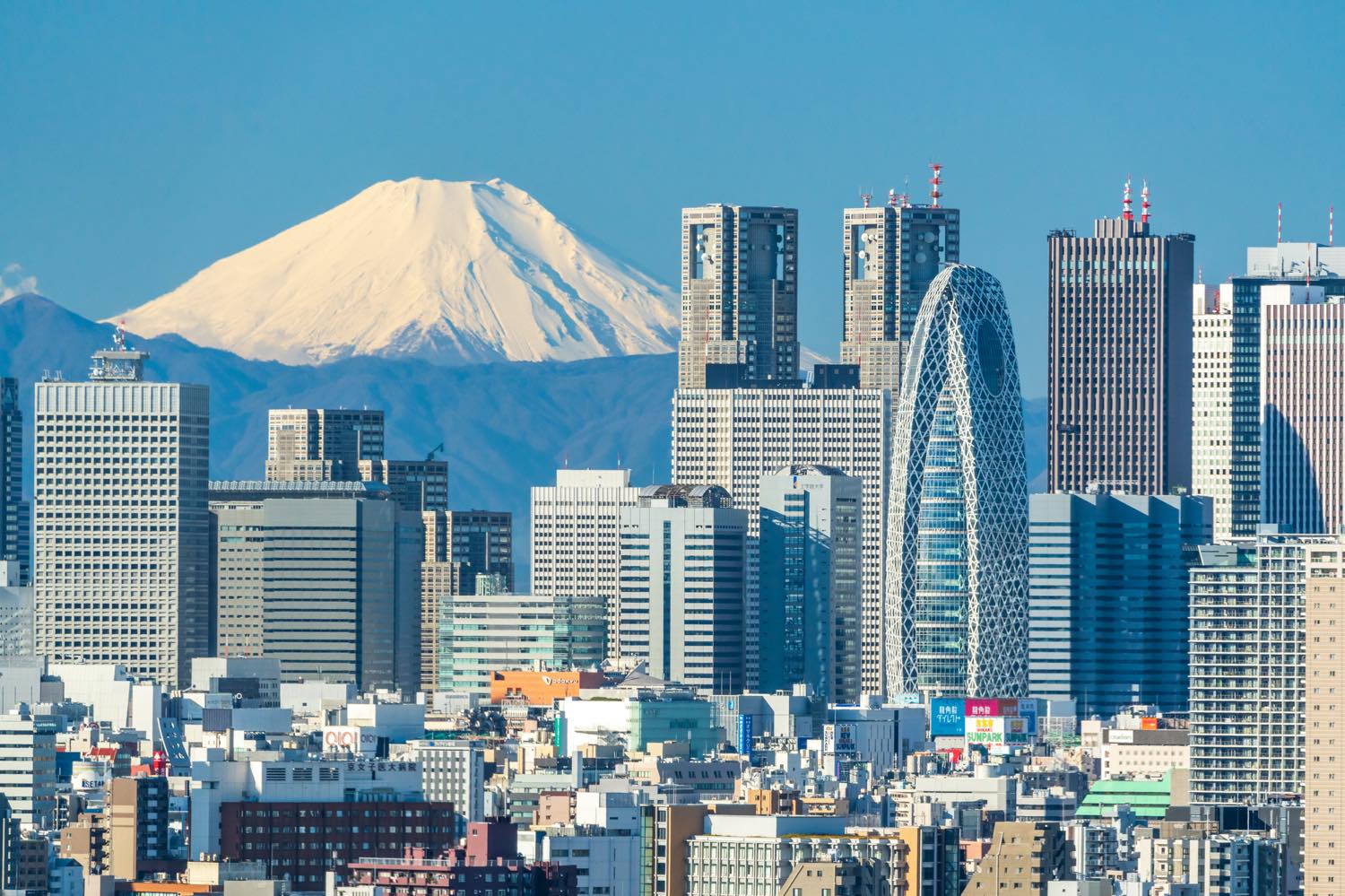 【保存版】新宿で海鮮ならここ！都内在住グルメ通おすすめの18選【ランチ営業・海鮮丼・こだわりメニューのお店など】