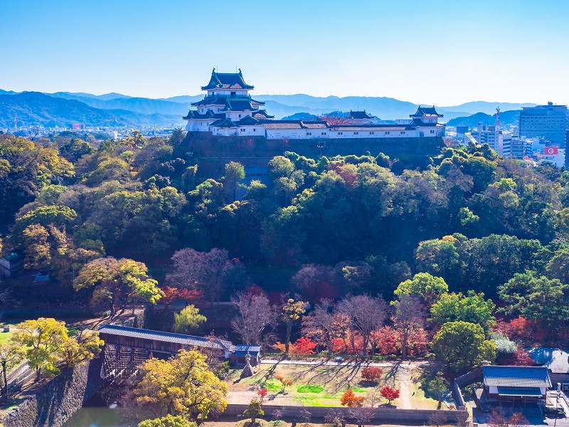 【保存版】和歌山ドライブデートならここ！在住者おすすめスポット17選【絶景スポット・海カフェ・テーマパークなど】