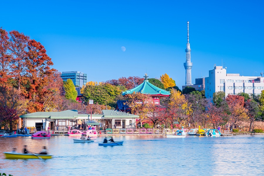 【保存版】上野公園周辺の食事ならここ！上野公園によく行く筆者おすすめの15店【和洋中ジャンル別に紹介・コスパ◎なお店も】