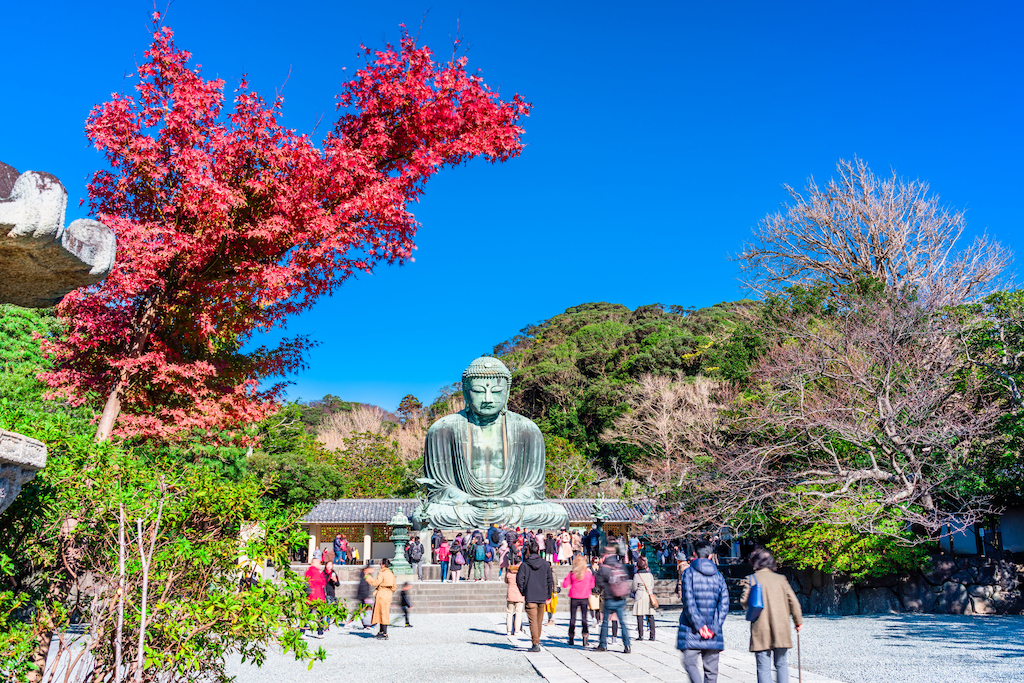 神奈川の紅葉スポット15選！箱根・鎌倉・ライトアップなど神奈川在住のお出かけ好きな筆者が紹介