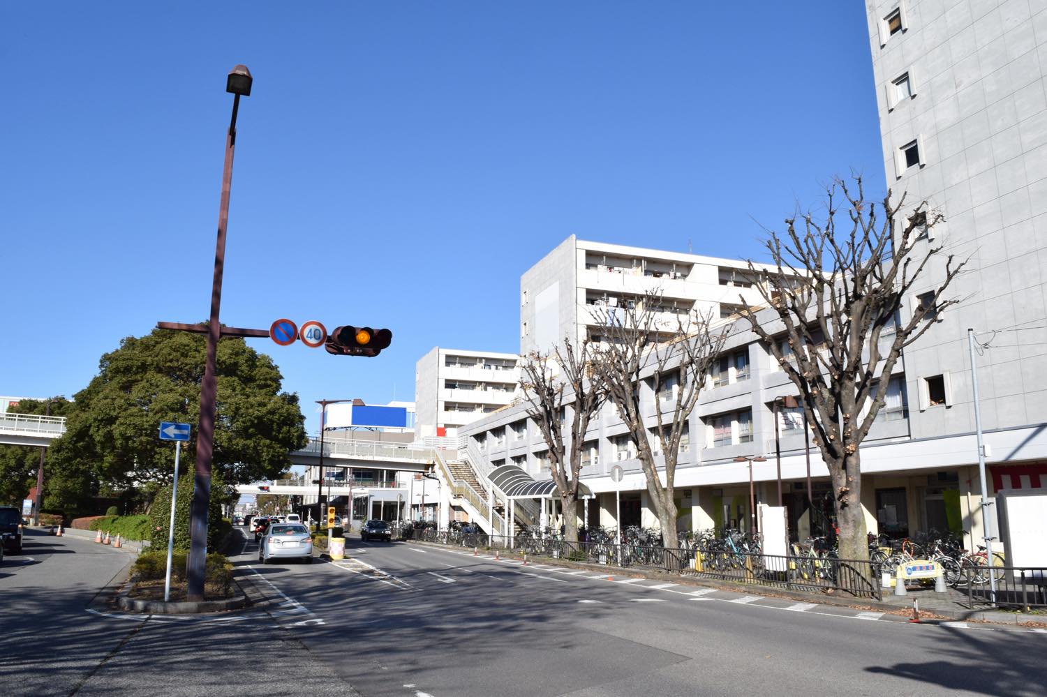 【保存版】新船橋のランチならここ！カップルのデートや記念日にもおすすめ【地元民が徹底ガイド】雰囲気◎・リーズナブル・食べ放題など