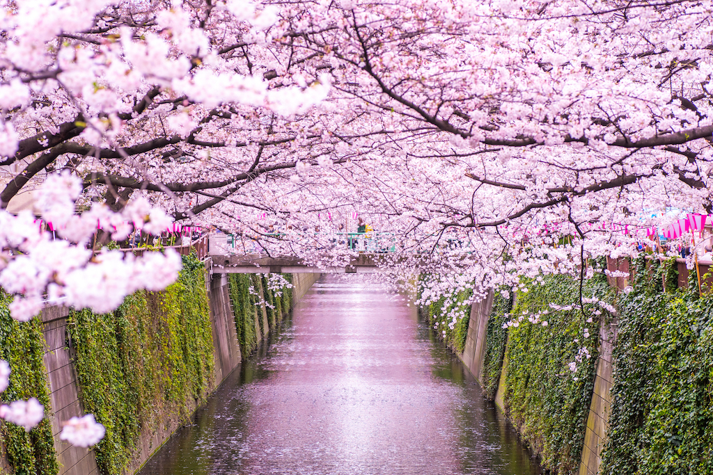 東京の穴場おでかけスポット30選！フォトジェニック・レジャー・ショッピングなど旅行好きな筆者が紹介