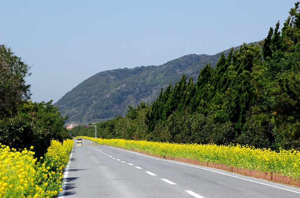 21年版 千葉県ドライブデートならここ 関東在住者おすすめの30スポット エリア別 絶景 インスタ映え レジャー グルメなど アニバーサリーズマガジン