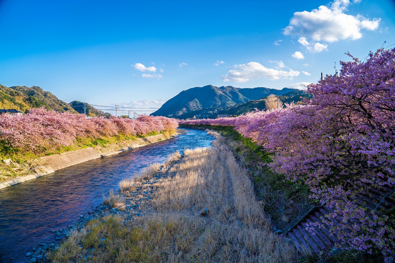 21年版 子連れ旅行向きの伊豆の温泉旅館おすすめ15選 温泉歴27年のライターが徹底紹介 露天風呂付き客室 離れ コテージ コスパ など アニーお祝い体験マガジン By ギフトモール