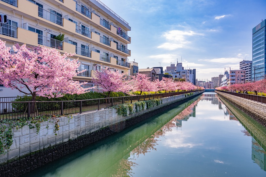 21年版 木場デートならここ 地元民おすすめの15スポット 公園 アクティブ 穴場ランチ 絶品ディナーなど アニバーサリーズマガジン