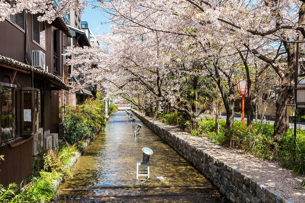 木屋町のおいしい居酒屋16選！カジュアル・京都っぽい・女子会など飲み会にもおすすめのお店を大阪府民が厳選