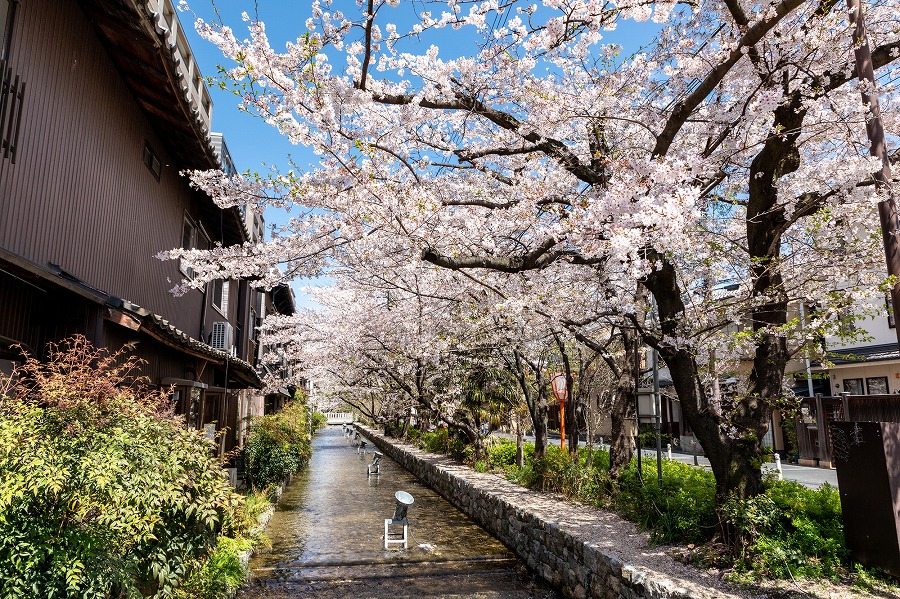 【保存版】木屋町デートならここ！京都通筆者おすすめの15スポット【和カフェ・食べ歩き・ショッピング・寺院・仏閣など】