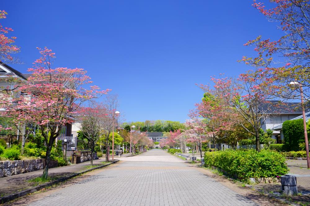 【保存版】芦屋のディナー15選！カップルのデートや記念日にもおすすめ【兵庫県民が徹底ガイド】和食・イタリアン・フレンチ・コスパ◎のお店も