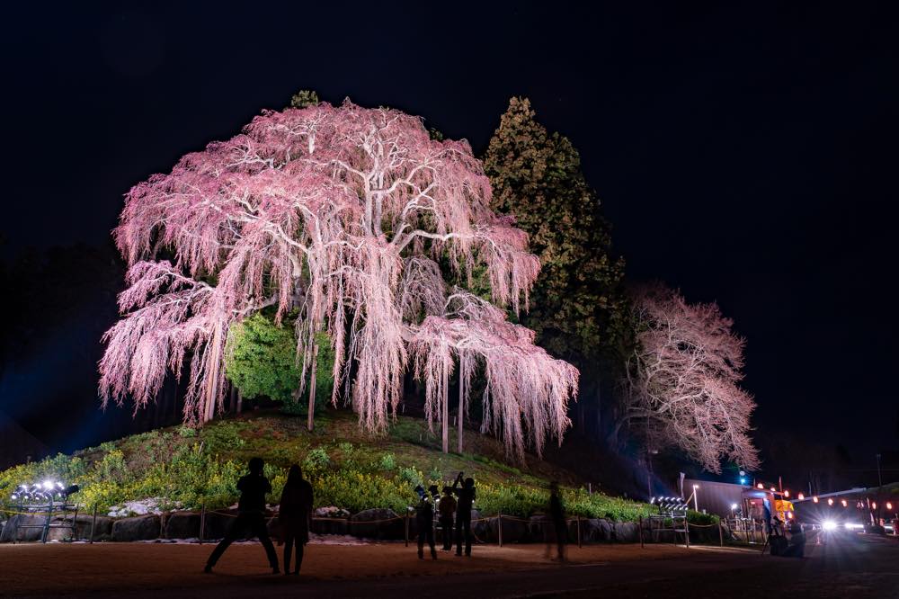 【保存版】福島市の誕生日ディナー15選！個室・夜景あり・誕生日プラン/サプライズOKなどお祝い向きのお店をお祝い大好きアラサー女子が厳選