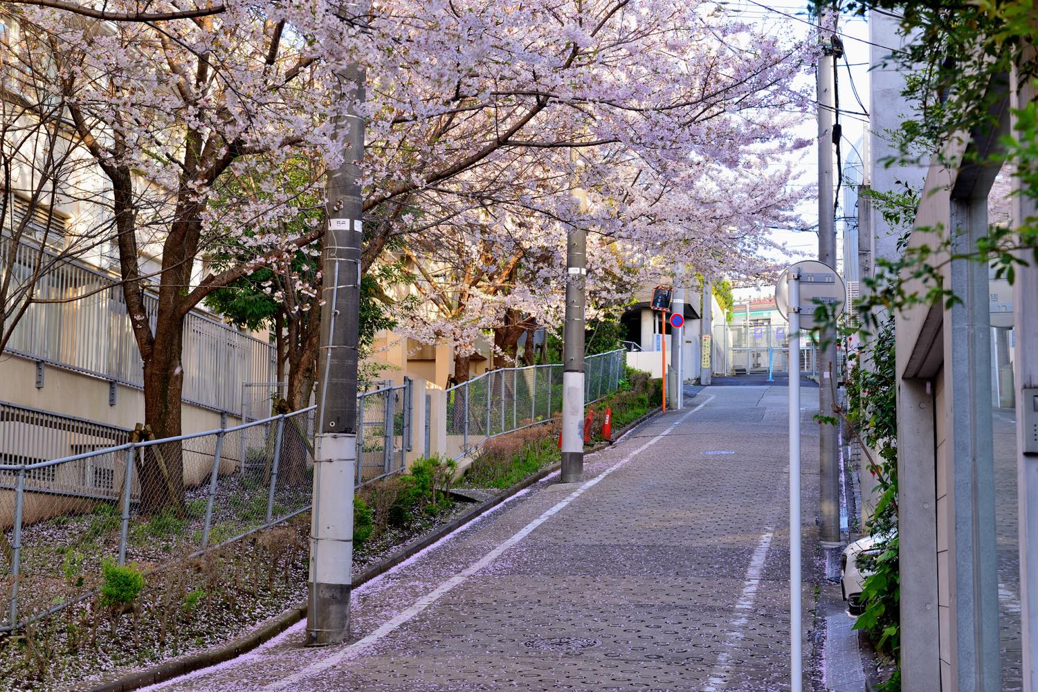 【保存版】代々木上原でスイーツならここ！関東在住カフェ巡り歴10年の筆者おすすめの15選【テイクアウトOK・SNS映え・おしゃれスイーツなど】