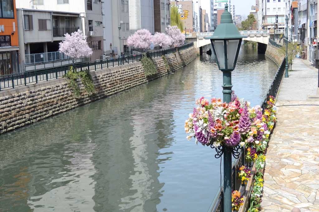 【2023年度版】名古屋納屋橋で女子会するならこのお店！ホテルや居酒屋・ランチなど15選◎女子会好きなグルメライターが厳選！