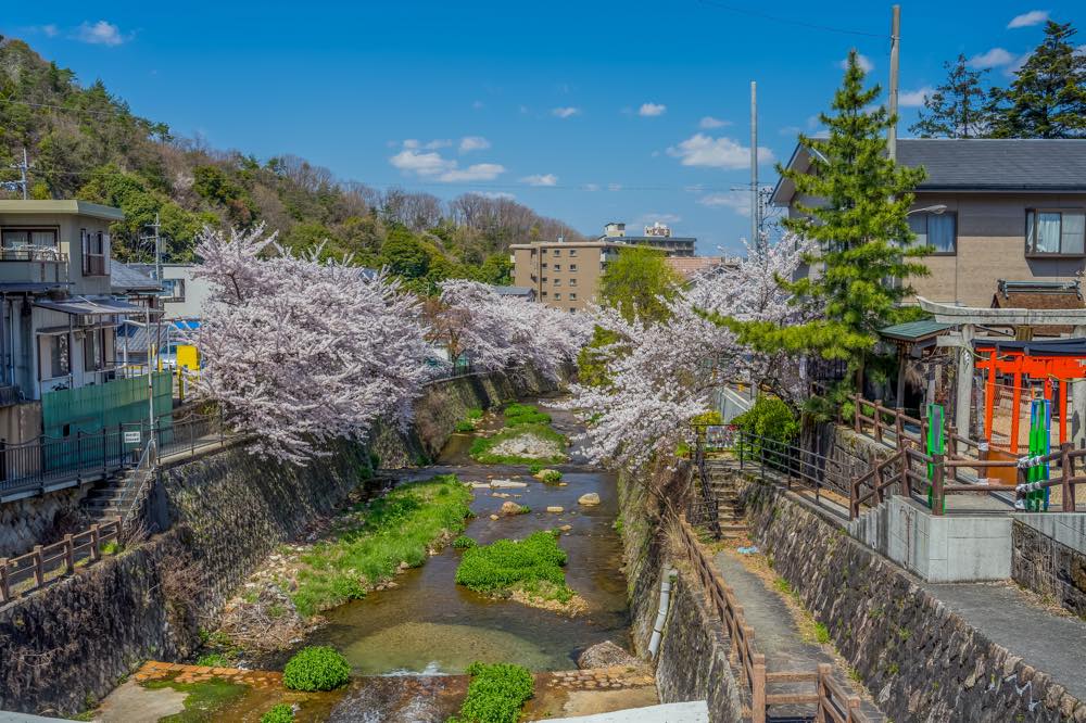 【保存版】近畿の温泉旅館おすすめ15選【温泉好きライターが徹底紹介】露天風呂付き客室・貸切風呂・リーズナブルなど