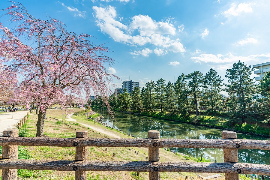 【保存版】草加デートならここ！埼玉県民おすすめの14スポット【アクティブ・神社・温泉・おしゃれカフェなど】