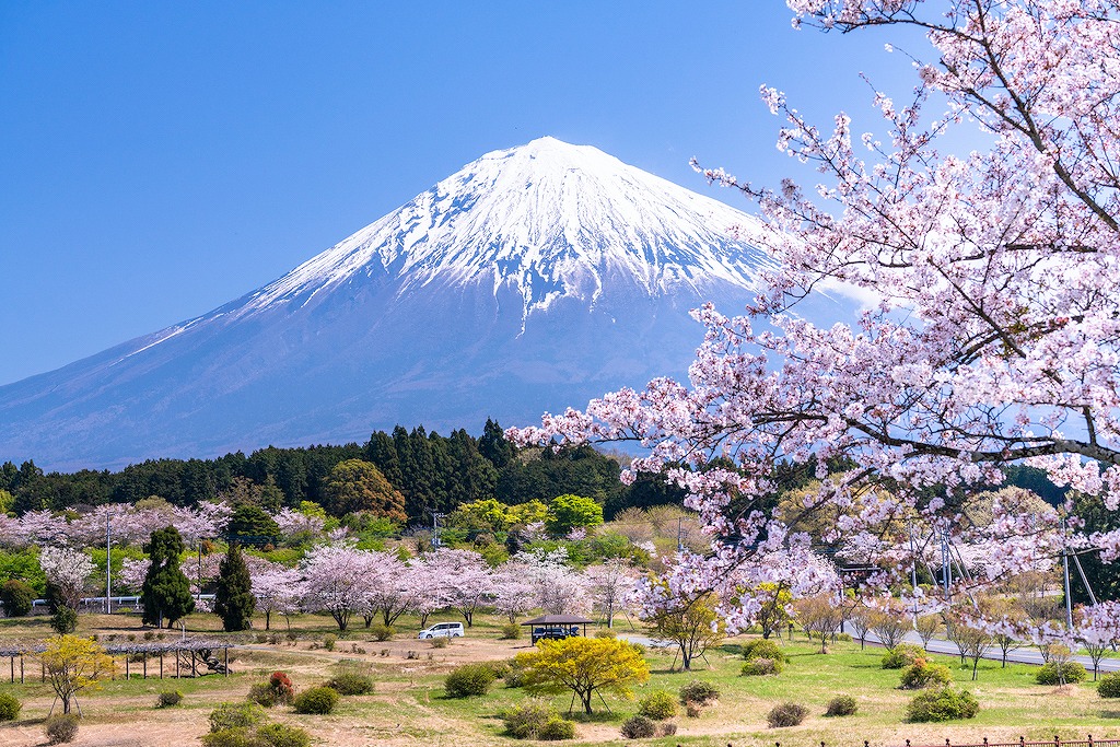 【保存版】母の日に！静岡県のランチ15選！母の日プラン・母の日特典ありなどお母さんが喜ぶお店を旅好きで庶民派グルメを愛する筆者が厳選