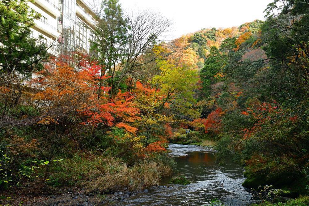 【山中温泉】記念日で泊まりたい旅館・ホテル10選！お祝いプラン・プライベート重視・ユニークエクスペリエンスなど北陸在住で温泉大好きな筆者が徹底調査！