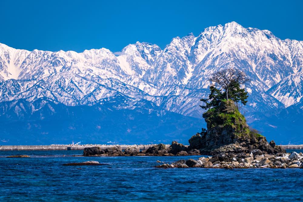 富山 から 日帰り デート