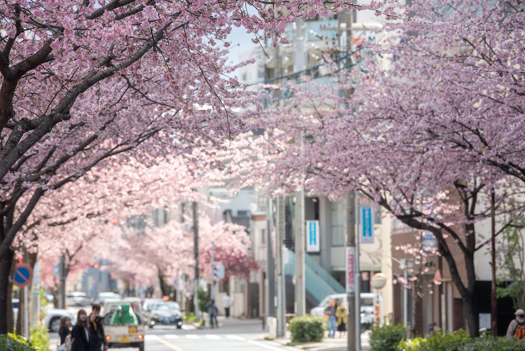 【2023年度版】高岳でプロポーズをするならこのお店！おしゃれなお店や個室・プロポーズプランありなど16選◎サプライズ好きなグルメライターが厳選！