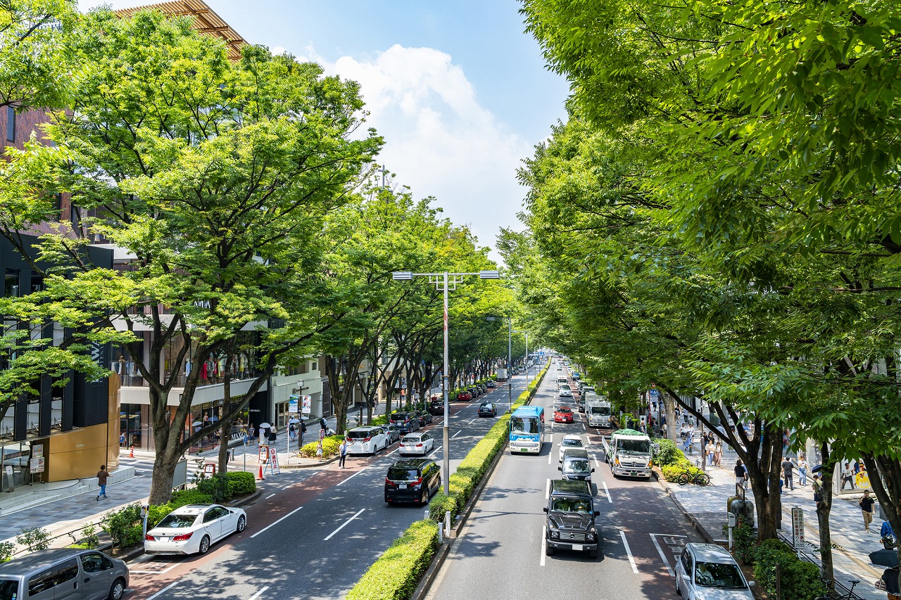 【保存版】東京でサイクリングデートならここ！サイクリストの筆者おすすめの15スポット【景観◎・自然スポット・人気グルメなど】