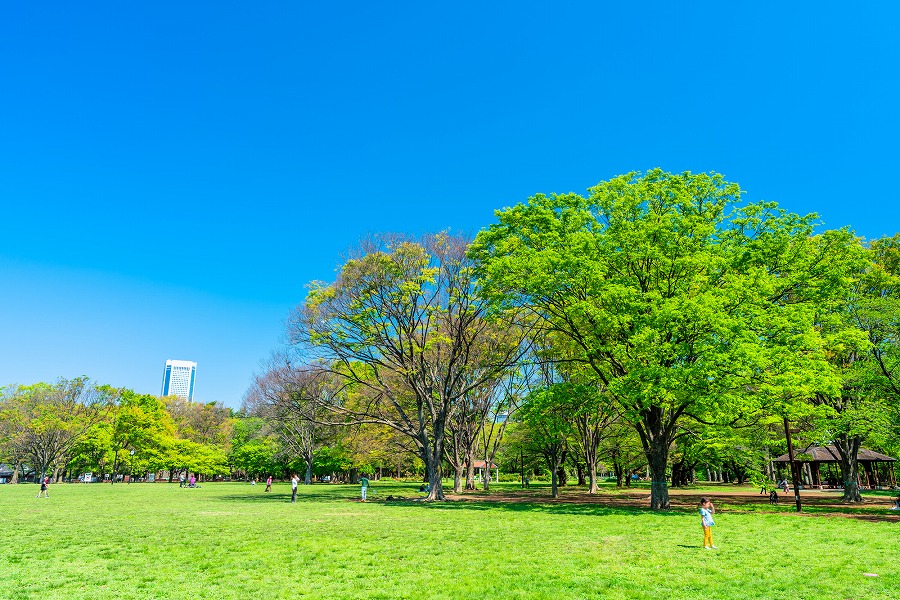 【2023年度版】代々木公園で女子会におすすめなカフェやお店！ランチやディナー15選◎女子会好きなグルメライターが徹底ガイド！