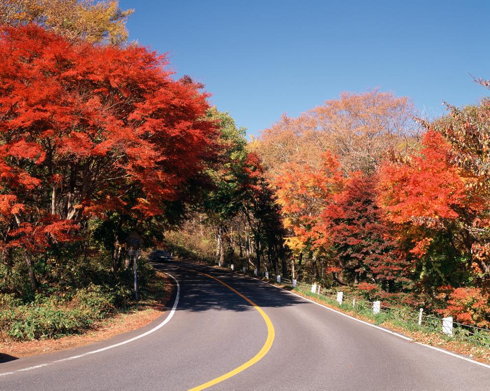 年版 関東紅葉ドライブデートならここ 関東在住の筆者がおすすめの15スポット ページ 3 4 アニバーサリーズマガジン