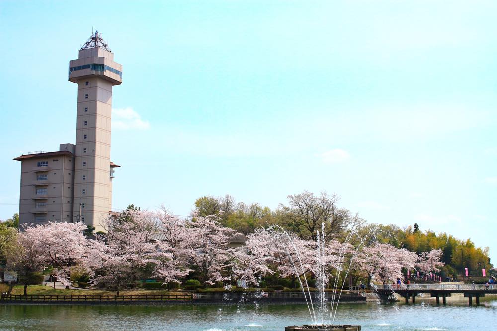 21年版 尾張旭デートならここ 東海在住筆者おすすめの15スポット 定番 公園 紅葉 紅茶 グルメ カフェなど アニーお祝い体験マガジン By ギフトモール