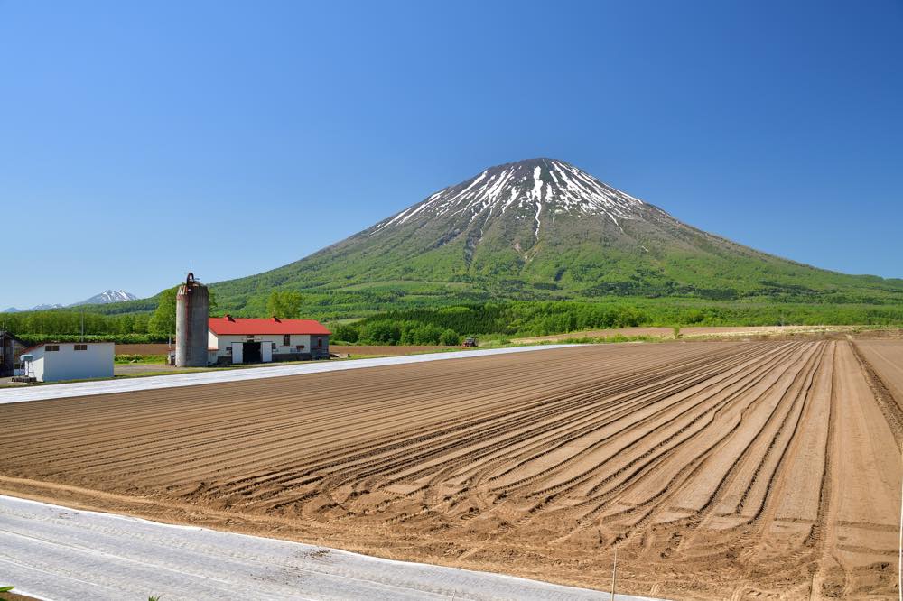 【保存版】ルスツデートならここ！北海道育ちの筆者がおすすめの15スポット【外せない定番・体験型施設・絶品グルメまで】