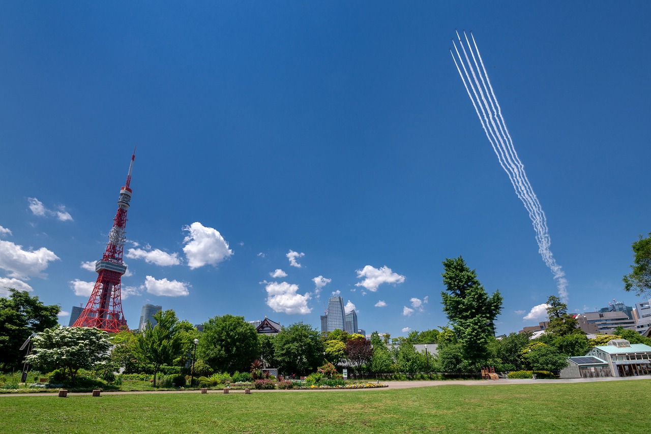 【保存版】芝公園でカフェならここ！元都内在住筆者のおすすめの14選【駅チカ・和カフェ・アフタヌーンティーなど】