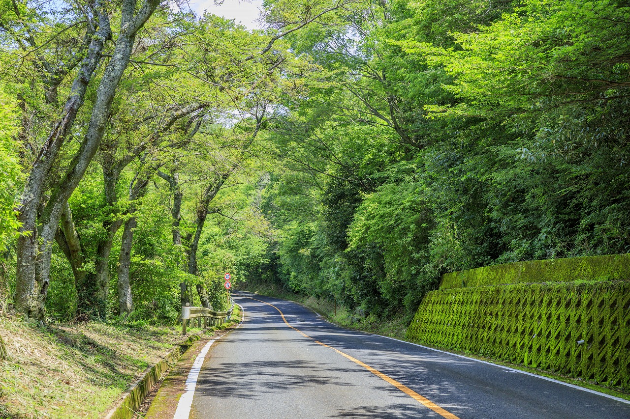 【保存版】生駒エリアでドライブデートならココ！旅行ライターおすすめ15選【定番の人気スポットから絶景・温泉やグルメも！】